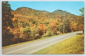 Western North Carolina~Blue Ridge Parkway & Grandfather Mt~Vintage Postcard