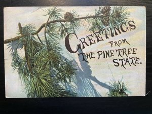 Vintage Postcard 1907-1915 Greetings from the Pine Tree State (Maine)