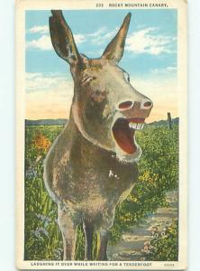 Divided-Back ANIMAL SCENE Great Postcard AA9649