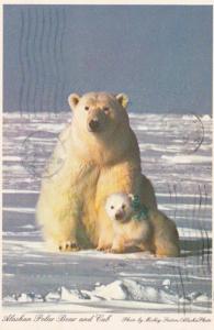 Alaska Alaskan Polar Bear and Cub 1986