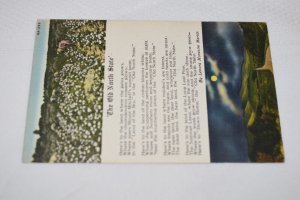 The Old North State Poem by Lenora Monteire Martin Postcard NA-299 Asheville