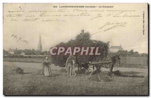 Old Postcard Langrune Sur Mer TOP Horse Country