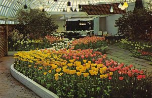 Spring Flower Show, The Modern Room Pittsburgh, Pennsylvania PA Postcards
