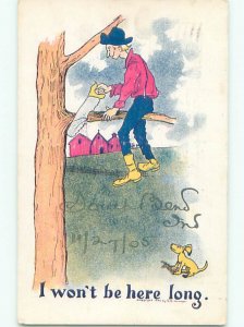 Pre-1907 comic DOG WATCHES DUMB MAN SAWING OFF TREE BRANCH W7395