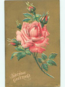 Divided-Back BEAUTIFUL FLOWERS SCENE Great Postcard AA3612