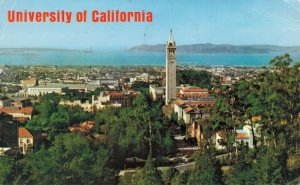 USA University of California Berkeley California Chrome Vintage Postcard 08.31