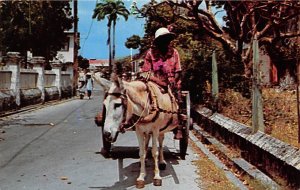 Donkey Cart Vendor Barbados West Indies Unused 