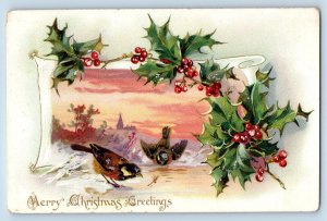 Saint James MN Postcard Christmas Greetings Birds Holly Berries Winter Tuck 1906