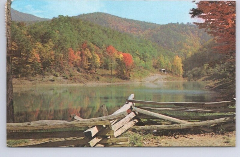 Autumn, Fall Colours, Lake Scene, Canada, Vintage 1975 Postcard, Slogan Cancel