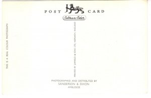 Bluebell Time, Rydal Waters, Cumbria, England