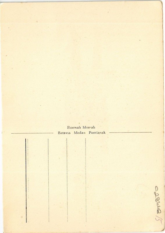 PC SUMATRA VISSCHER ETHNIC TYPES INDONESIA (a29446)