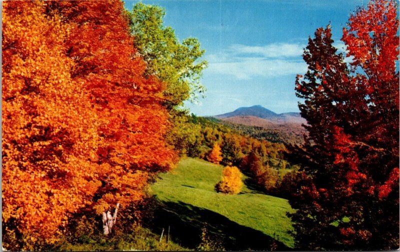 Camels Hump Autumn Huntington Vermont Stephen Warner Mike Roberts Unp Postcard 