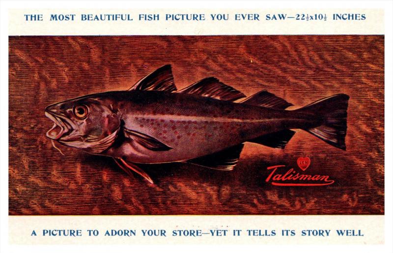 16531  Swift & Co. Trout  Plaque, Talisman