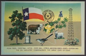 The Great State of Texas - MultiView State Flag, Pecan Trees, Cotten - Chrome