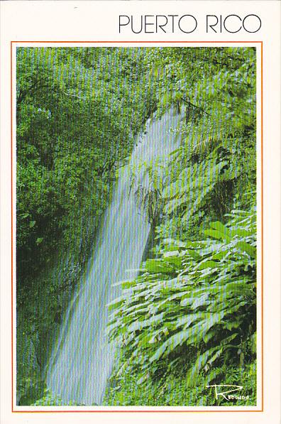 Puerto Rico Cascade de La Coca El Yunque Rain Forest