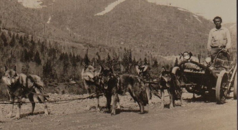 Alaska RPPC 1933 LONG DISTANCE TRAVELER Cross Country WILLIAMS Dog Sled AK KB