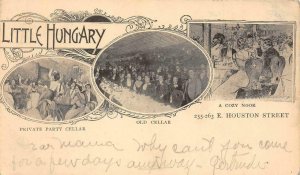 New York City LITTLE HUNGARY Restaurant Party Cellar 1905 Vintage Postcard