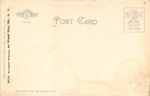 New York City New York c1906 Postcard Ellis Island