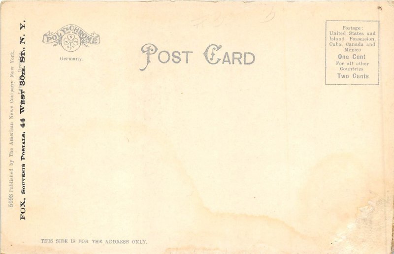 New York City New York c1906 Postcard Ellis Island