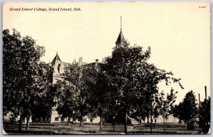 1913 Grand Island College Grand Island Nebraska NB Trees Posted Postcard