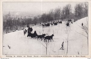 MONTREAL, Quebec, Canada, 1900-1910s; Driving In Winter On Mount Royal