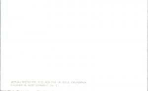 RPPC SAN DIEGO, CA California  HOTEL del CORONADO  c1950s  Tinted     Postcard