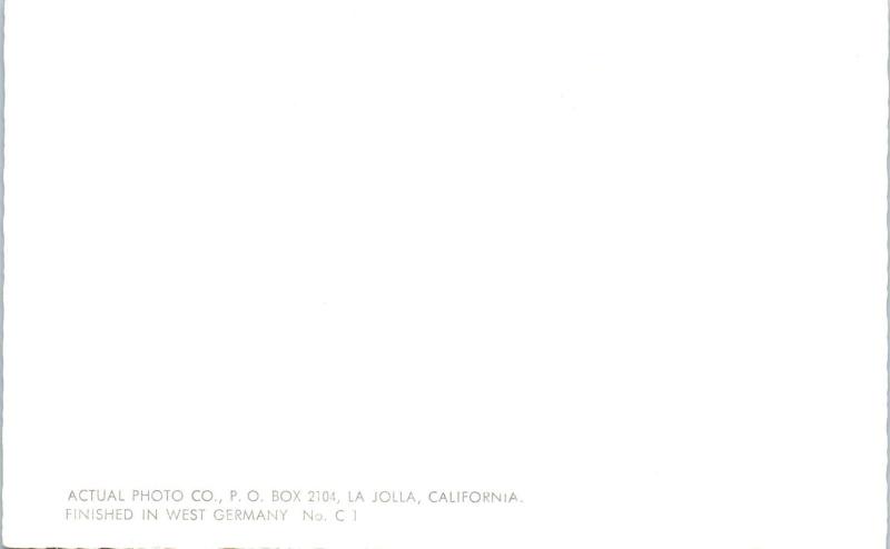 RPPC SAN DIEGO, CA California  HOTEL del CORONADO  c1950s  Tinted     Postcard