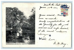 1905 Shadow River Lake Rosseau Muskoka Ontario Canada Antique Postcard 