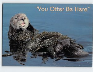 Postcard You Otter Be Here, Sea Otter