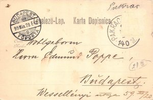 L083 Croatia Greetings from Pakrac 1899 panoramic view vintage postcard