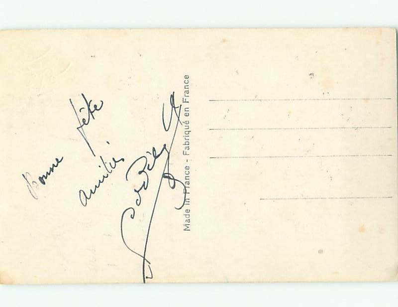 tinted rppc c1910 BEAUTIFUL FLOWERS AC9252