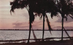 Vintage Postcard 1952 Florida Coast Sunset View Palms Valence Color Studios Pub.