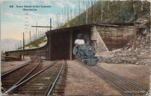 Train and Snow Sheds in Cascade Mountains WA Washington c1922 Postcard H50