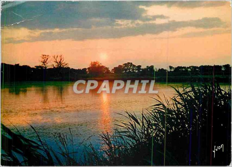 Postcard Modern Colors and Light of Camargue in France (B R) Sunset on rice f...