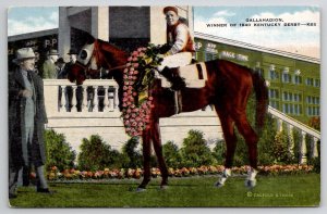 Horse Racing Gallahadion Winner of 1940 Kentucky Derby Postcard D25