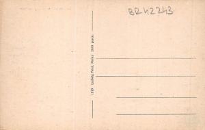 BR42243 Mainz Totalansicht vom stephausturm germany