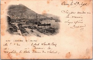 Algeria Oran Le Porte Le Djebe-Mourdjadjo Postcard C143