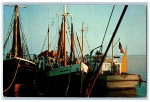 1956 Shrimp Boats Sea Flag Scene Key West Florida FL Posted Vintage Postcard