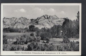 South Africa Postcard - Poser's Gemusefarm Palmenhorst b.Swakopmund   RS18471