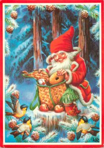 New Year greetings dwarf and birds 1983 postcard Sweden