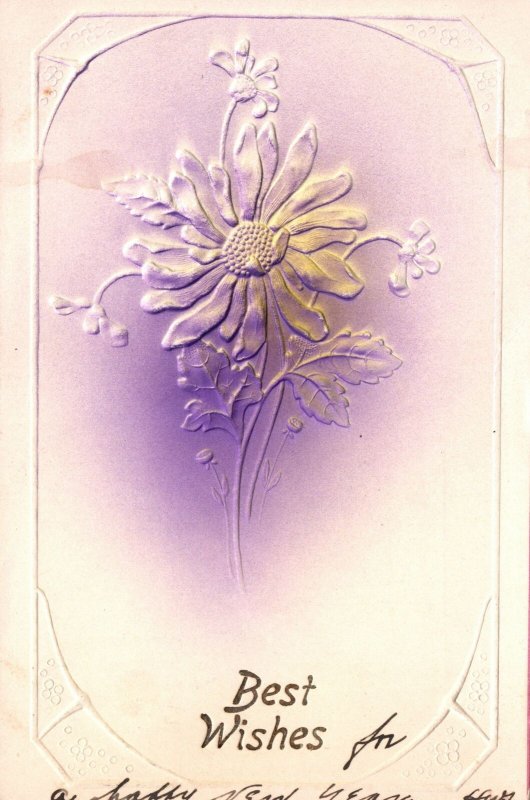 Vintage Postcard 1907 Best Wishes Greetings Beautiful Purple Flowers Blooms