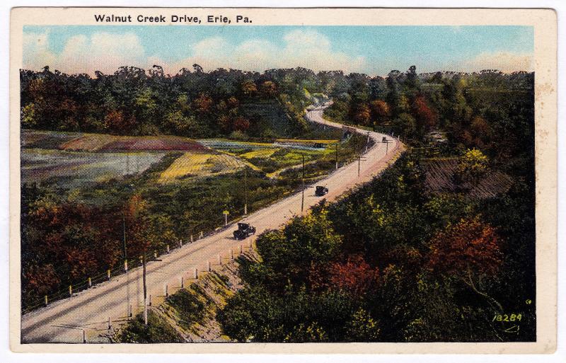 Erie PA 1915-30 Walnut Creek Drive Road Scene Early Automobiles RARE WB Postcard