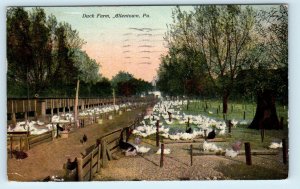 ALLENTOWN, PA Pennsylvania ~ DUCK FARM 1911 Lehigh County  Postcard