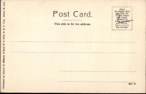 New York City 110th St. RR & Chapel Split-View c1905 Postcard