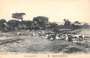 Japan Pasture Ground Farming Scenic View Antique Postcard J77952