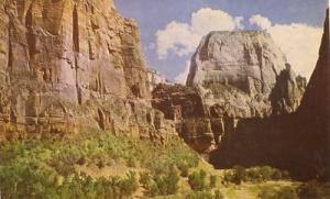 GREAT WHITE THRONE ZION NATIONAL PARK UT Postcard