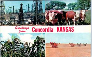 CONCORDIA, KS Kansas    GREETINGS from Concordia  MULTIVIEW   c1910s    Postcard