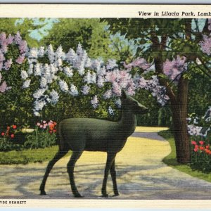 1943 Lombard, IL Lilacia Park Iron Deer Colonial Plum Pet Clyde Bennett  PC A247