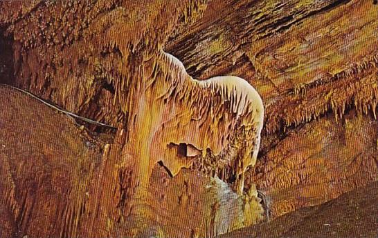 Jackson's Horse Shield Formation Grand Caverns Grottoes Virginia