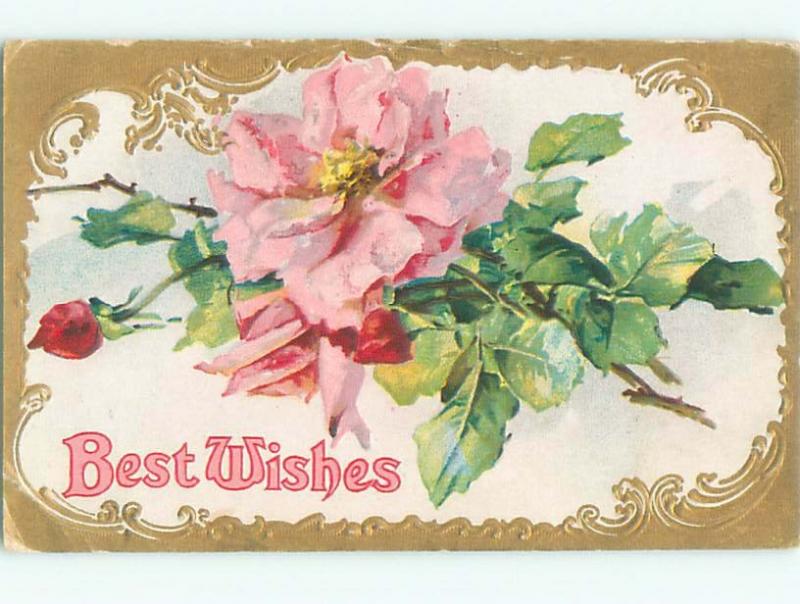 Divided-Back BEAUTIFUL FLOWERS SCENE Great Postcard AA2492